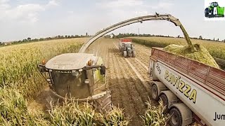 Claas Jaguar 980 + CAYMANO  Trinciato 2015 - CHOPPING CORN 2015