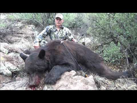 Guided Hunts in Arizona Archery Bow Hunt Bear 2019