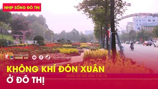 Nhịp sống đô thị: Không khí đón xuân ở đô thị