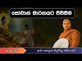 සෝවාන් මාර්ගයට පිවිසීම (Ven.Hasalaka seelavimala thero) Sangha Dhara - සංඝ ධාරා