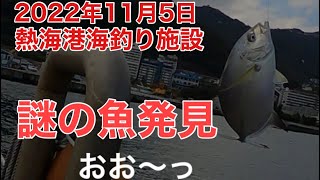 2022年11月5日 熱海港海釣り施設で謎の魚を釣りました。正体は。