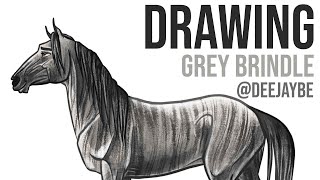 @DeeJayBe HORSE DRAWING a Buckskin Sabino - Breyerfest Limited Edition Sticker