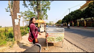 Countryside Street Food in Svay Chrum District, Kandal Province, Cambodia Market Food Tour