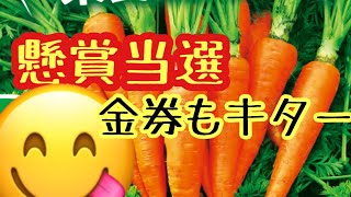 【懸賞】4つ【当選】開封します😊☘️