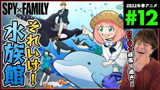 SPY×FAMILY スパイファミリー 第12話 アニメリアクション 原作序盤既読につきネタバレ注意 Anime Reaction Episode 12【SPOILER ALERT】