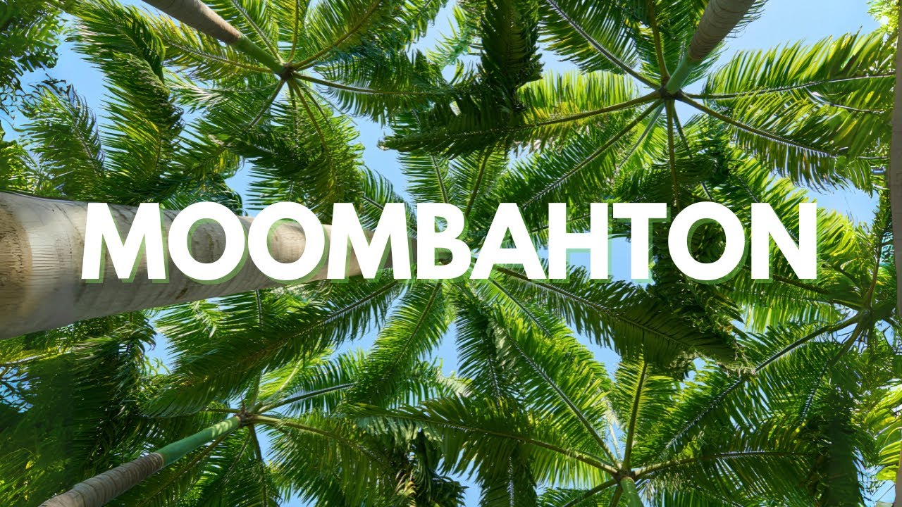 Moombahton рџњґ Mix 2022 Youtube Music