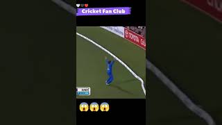 😱😱😱#best catches#shorts#cwc highlights#cricket videos#world cup 2019#icc cricket world cup 2019