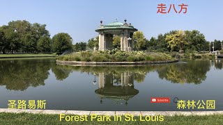 圣路易斯*森林公园 (Forest Park in St. Louis ) 走八方 第58期