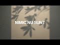 Tamus Ionescu - Nimic nu sunt // cu versuri