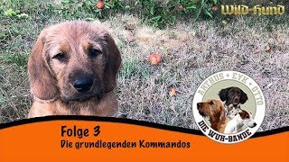 Die WuH-Bande | Die grundlegenden Kommandos | Folge 3