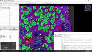 Integrating Cell segmentation with Pixel Classifiers