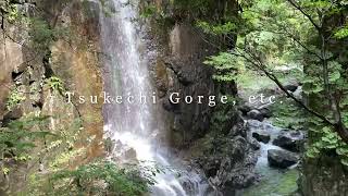 Getting Around the Nakatsugawa Area by Bus | Gifu, Japan