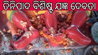 ଗ୍ରହରାଜ ଶନିଦେବ ବିଶ୍ଵଶାନ୍ତି ମହାଯଜ୍ଞ | ଲକ୍ଷ୍ମିପ୍ରସାଦ, ବାସୁଦେବପୁର, ଭଦ୍ରକ /@paramparalive