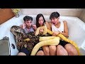 Last To Leave SCARY SNAKES WINS $10,000!