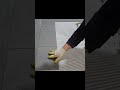 화장실 바닥타일 시공 5월 17일 저녁 영상 업로드 예정 diy 타일 인테리어 타일시공 tiles construction interiordesign homedecor