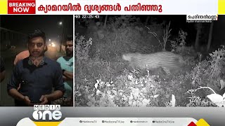 മലപ്പുറം പെരിന്തൽമണ്ണയിൽ പുലി; കണ്ടത് ജനവാസമേഖലയിൽ; ദൃശ്യം കാമറയിൽ പതിഞ്ഞു