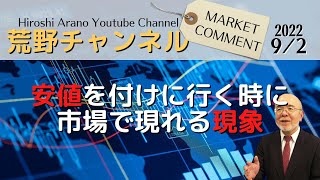 【荒野浩のマーケットコメント】安値を付けに行く時に市場で現れる現象【資料ダウンロード案内は概要から】