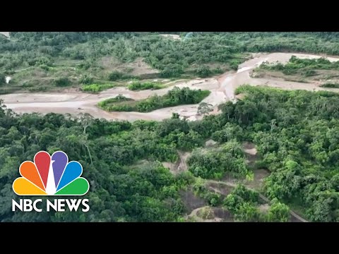 Is there gold in the Amazon?