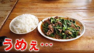 【2018-19年末年始台湾ひとり旅#3】絶品羊肉炒めを食べ三度安平へ行き武聖夜市でライブ配信した4日目【ポンコツ旅Vlog】