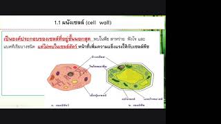 บทที่ 2 องค์ประกอบของสิ่งมีชีวิต