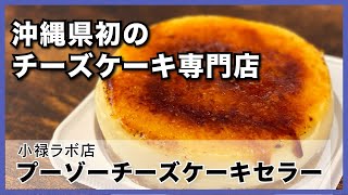 【PUZO プーゾーチーズケーキセラー 小禄ラボ店】沖縄のチーズケーキと言えばココ！_うるくローカルプレス