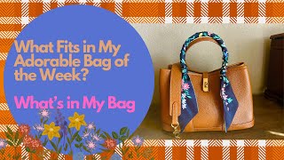 What Fits in My Adorable Bag of the Week? What's in My Bag? #Doris&Jacky