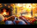 12 hours soothing music to help dogs sleep🐾soothing melodies to soothe dogs anxiety 💖