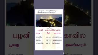 Palani kovil pooja timings#பழநி கோவில் பூஜை நேரங்கள் #shortsvideo #in #youtube