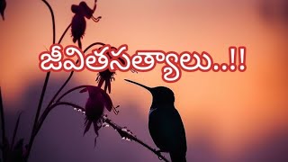 #నీతి వాక్యాలు //#manchimatalu//జీవితసత్యాలు #arogyachitkalu