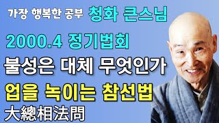 불성은 대체 무엇인가? 업을 녹이는 참선의 3가지 법 | 대총상법문 | 청화스님 법문 20000402 성륜사 정기법회