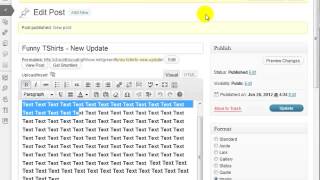 Wordpress 101: Module 4 - Creating Posts