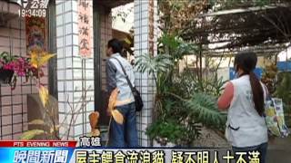 虐殺流浪貓丟民宅 高市動保處要查 20150204 公視晚間