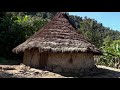 ciudad perdida the lost city colombia amazing places 4k