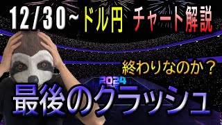 ２０２４年もあとわずか！最後の最後に１６０円を目指すのか？年末年始はフラッシュクラッシュや為替介入などの大暴落に要注意！