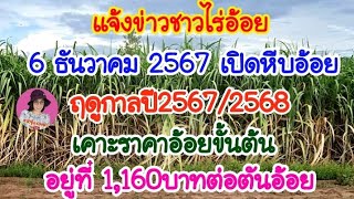 แจ้งข่าวชาวไร่อ้อย! 6 ธันวาคม 2567นี้เปิดหีบอ้อยปี67/68 ราคาอ้อยขั้นต้น1,160บาทต่อตันอ้อย