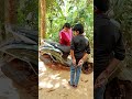 എന്തോ കുഴപ്പമുണ്ട് video viral funny funnyvideo