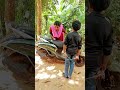 എന്തോ കുഴപ്പമുണ്ട് video viral funny funnyvideo