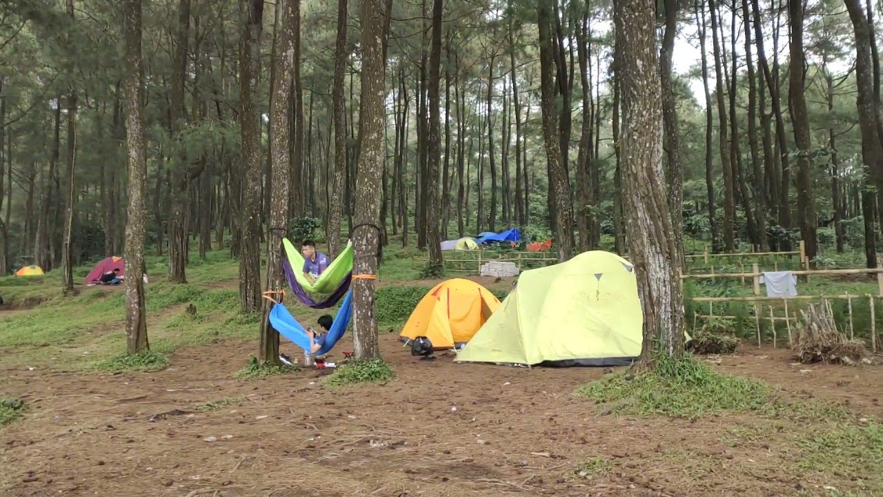 Kabayan / Bukit Si Kabayan Camping Ground - YouTube