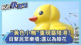 快新聞／超萌「黃色小鴨」重現基隆港？ 目擊民眾樂壞：還以為眼花－民視新聞