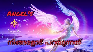 നിങ്ങളോട് Angels സംസാരിക്കാൻ ആഗ്രഹിക്കുന്നുണ്ടോ? എന്നാൽ അത് എന്തായിരിക്കും👼👼👼#malayalamtarot