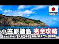 【総額25万円】小笠原諸島に行くならコレを見て！5泊6日で飲食店を13店舗紹介！父島も母島も南島も全部制覇する完璧で最高な小笠原旅！(総集編)