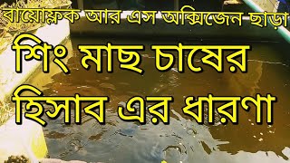 বায়োফ্লক আর এস অক্সিজেন  ছাড়া মাছ চাষ ১০ | বাড়ির উঠানে শিং মাছ চাষের হিসাব | মাছওয়ালা The Fisherman