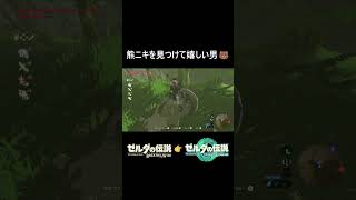 熊ニキを見つけて嬉しい男🐻 #shorts #botw #totk #ゼルダの伝説ブレスオブザワイルド #ゼルダの伝説ティアーズオブザキングダム #ゲーム実況