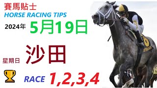 HKJC「賽馬貼士」🐴 2024  年 5  月 19 日 沙田 🐴 香港賽馬貼士 HONG KONG HORSE RACING TIPS 🐴 RACE  1  2  3  4