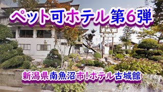 ペット可ホテル第6弾　新潟県！丸山温泉古城館