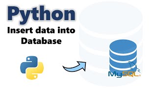 How to insert data into database in Python