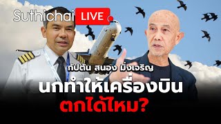 นกทำให้เครื่องบินตกได้ไหม?  Suthichai live 30-12-2567