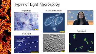 Types of Light Microscopy