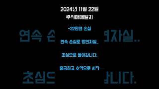 망했다... 초심으로 돌아가 소액으로 다시 시작 -22만원 2024.11.22주식매매일지