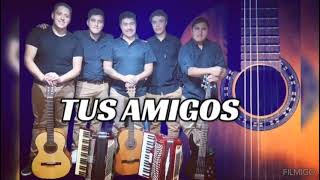 cuidado que te supero💥- tus amigos 🔥- lo nuevo 2024- chamamé 🎵🎶